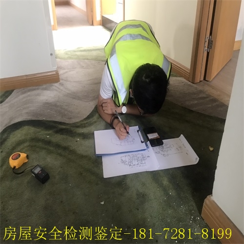 新检测图 (13).JPG